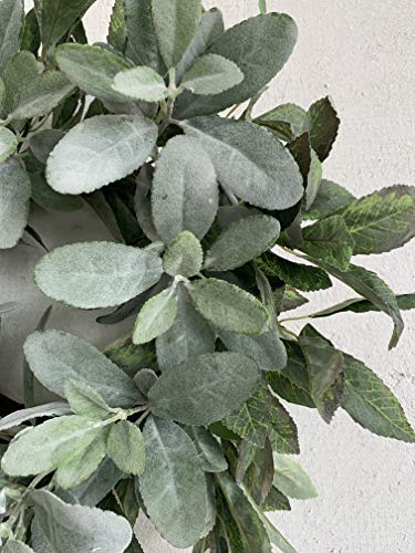 Delicate Spring Tribute: 22-Inch Flocked Lambs Ear Wreath with Greenery Leaves