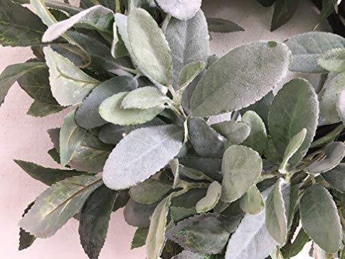 Delicate Spring Tribute: 22-Inch Flocked Lambs Ear Wreath with Greenery Leaves