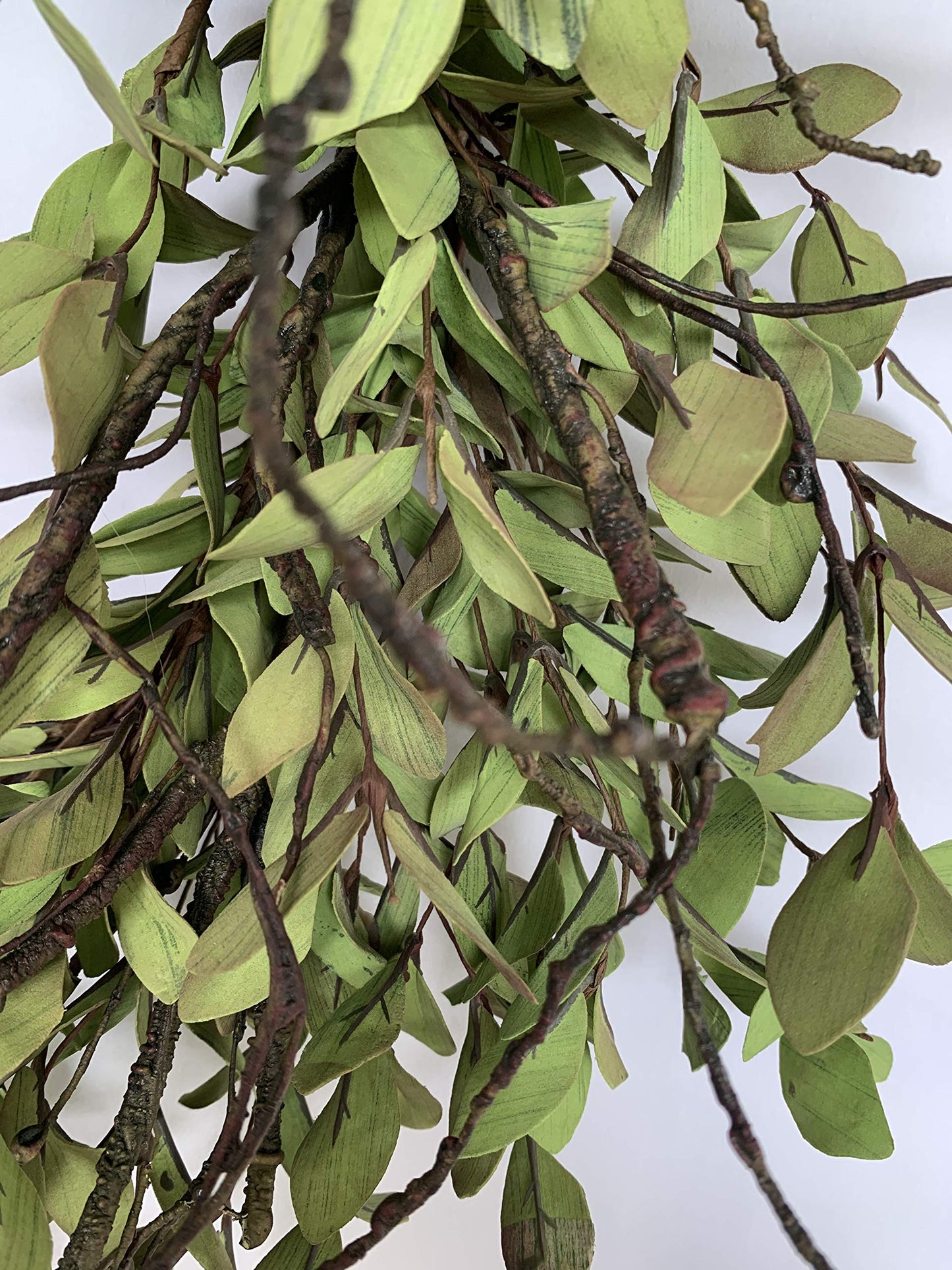 Fresh Green Tea Leaves: 24-Inch Spring Front Door Wreath with Handcrafted Twigs
