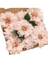 Blush Artificial Flowers 9pcs Silk Dahlia 5.5"/4.5" DIY Box