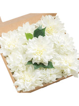 Ivory Artificial Flowers 9pcs Silk Dahlia 5.5"/4.5" DIY Box